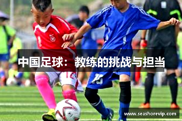 中国足球：教练的挑战与担当